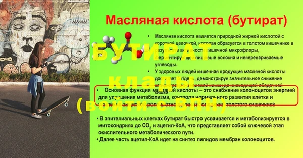 гидра Богородск