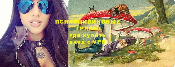 первитин Богданович