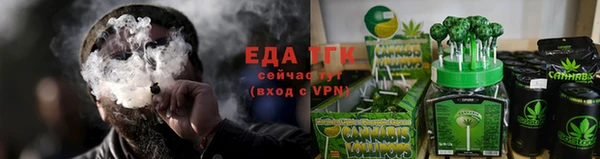гидра Богородск