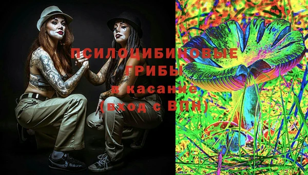 гидра Богородск
