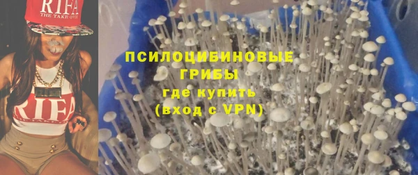 COCAINE Богородицк