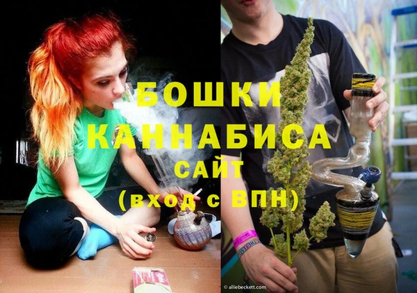 первитин Богданович