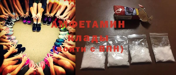 гидра Богородск