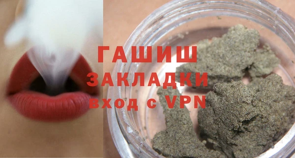 гидра Богородск