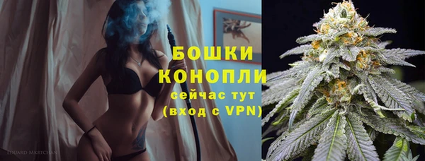 гидра Богородск
