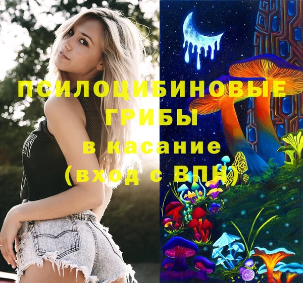 гидра Богородск